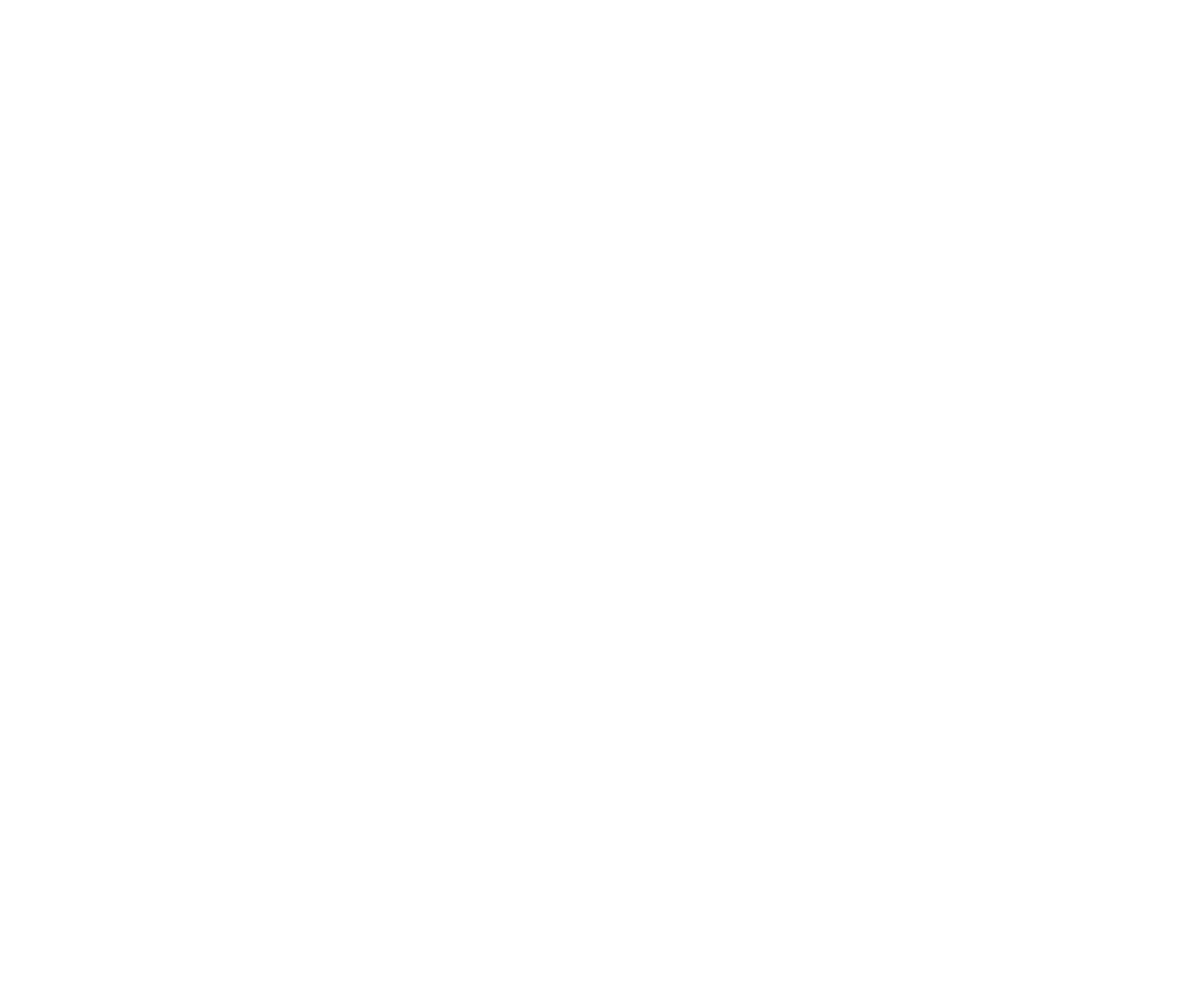 The Perfectionists — Your Business, Perfected.